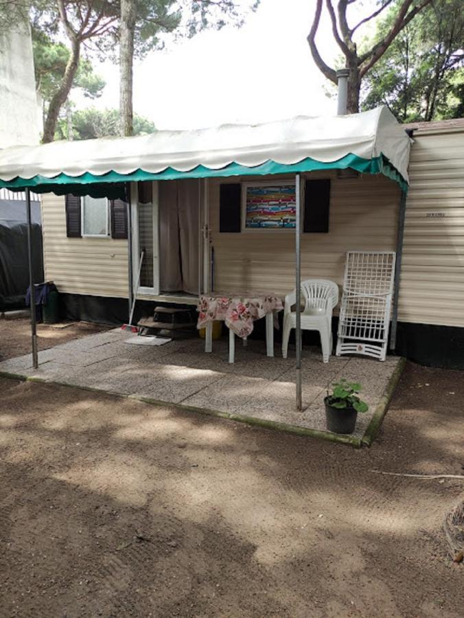 Mipro Mobilhome Лидо-ди-Спина Номер фото
